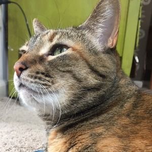 Meet your Posher, Danya